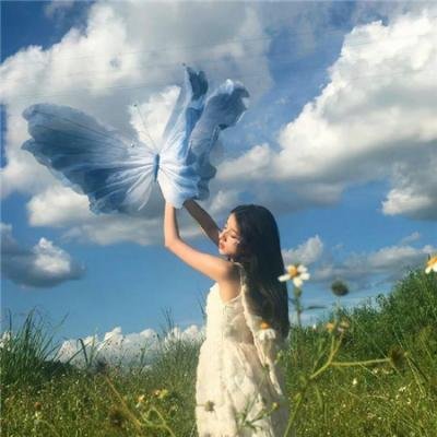 空中浩劫第十二季